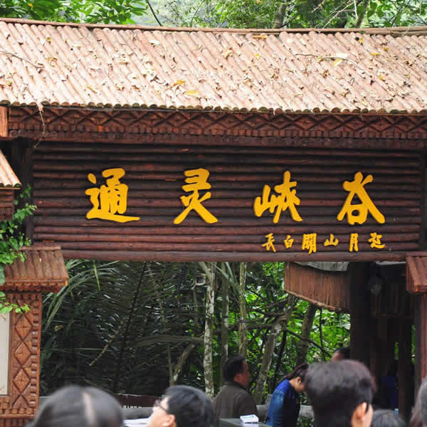 廣西通靈大峽谷